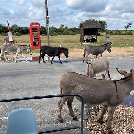 New Forest View Бюли Екстериор снимка