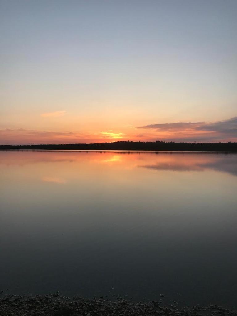 New Forest View Бюли Екстериор снимка